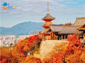 [HCM] Tour Nhật Bản 6N5Đ: Hành Trình Vàng Mùa Thu